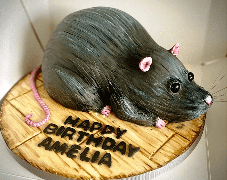 Admirable Rat Cake Design