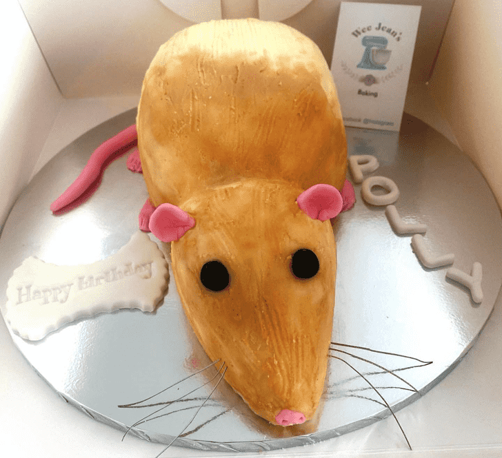 Gorgeous Rat Cake