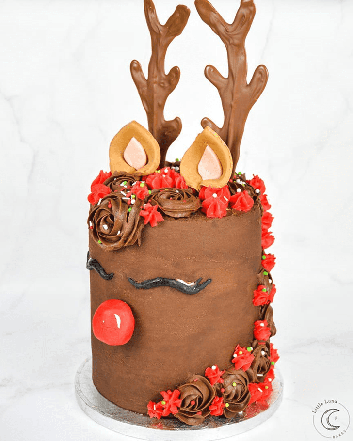 Gorgeous Reindeer Cake