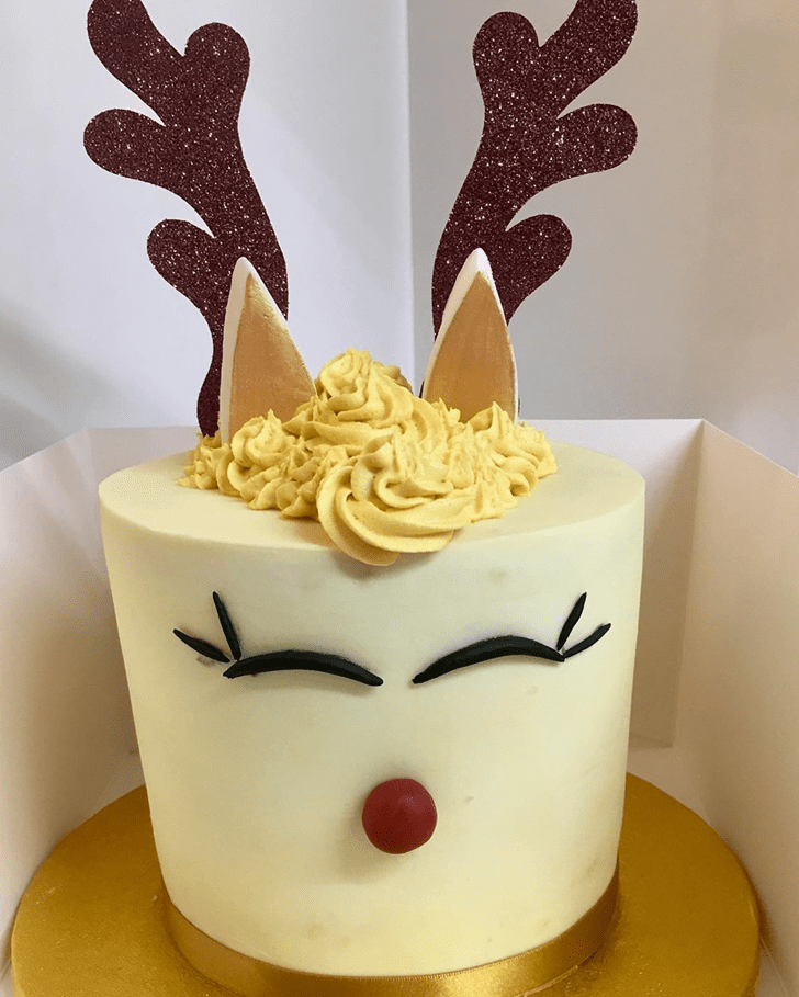 Slightly Reindeer Cake