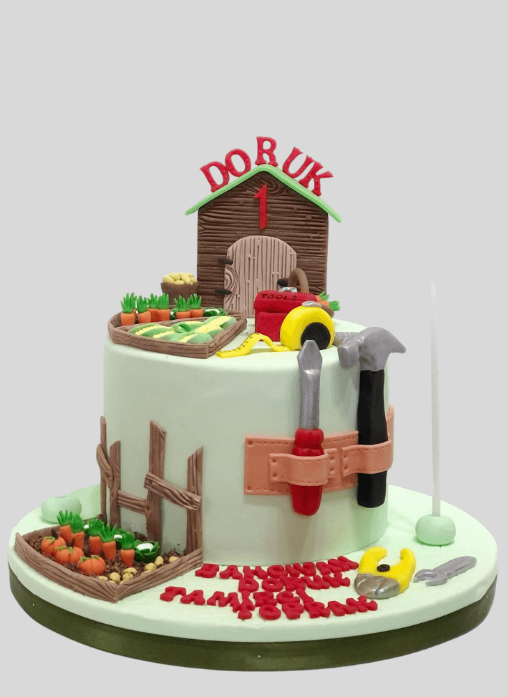 Alluring Repair Man Cake