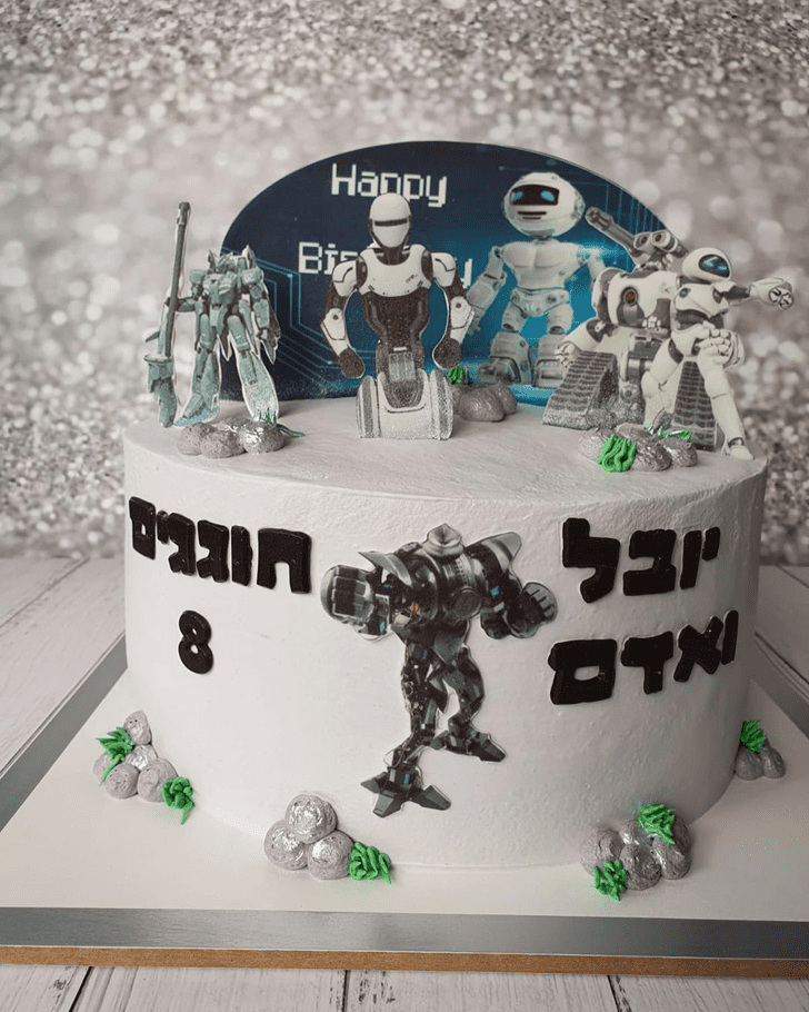 Magnetic Robots Cake