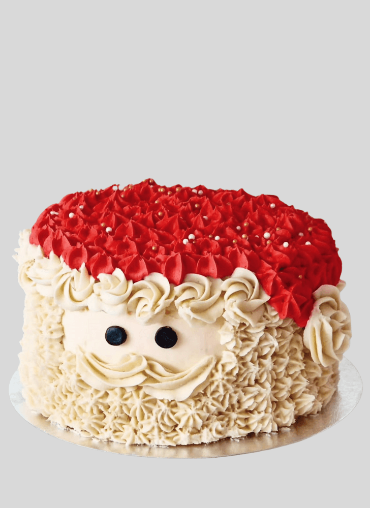 Fair Santa Cake