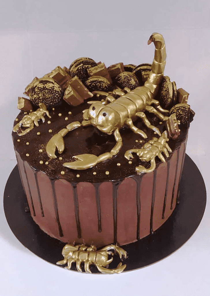 Admirable Scorpion Cake Design