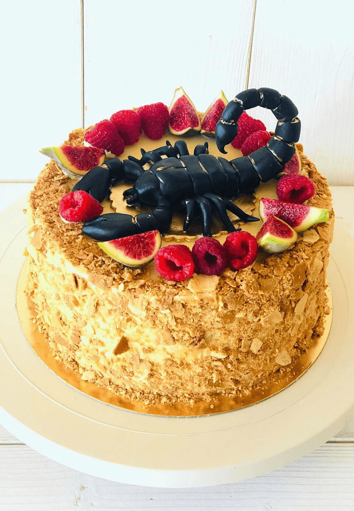 Magnetic Scorpion Cake