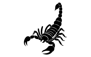 Scorpion Cake Design