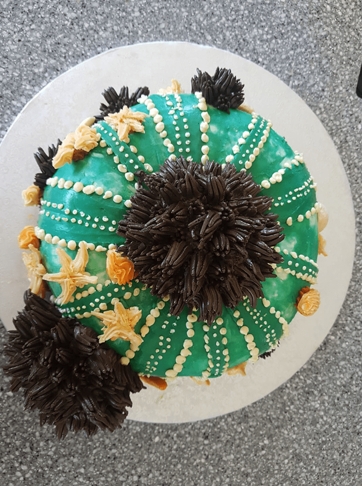 Charming Sea Urchin Cake