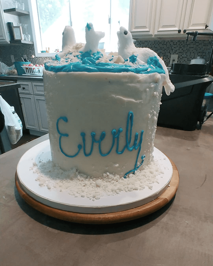 Comely Seals Cake