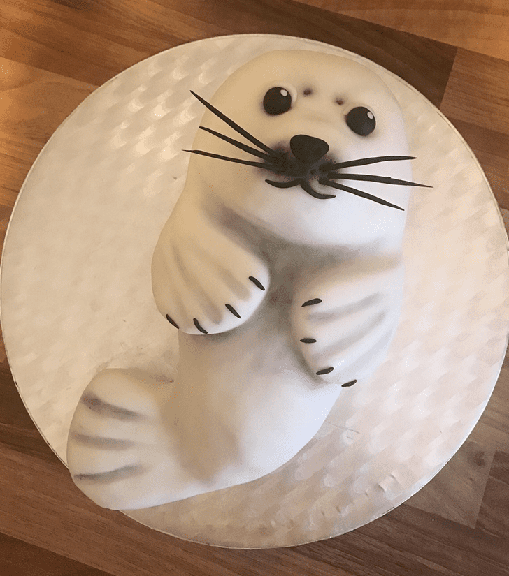 Nice Seals Cake