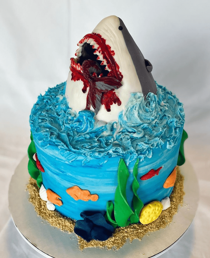Bewitching Shark Cake