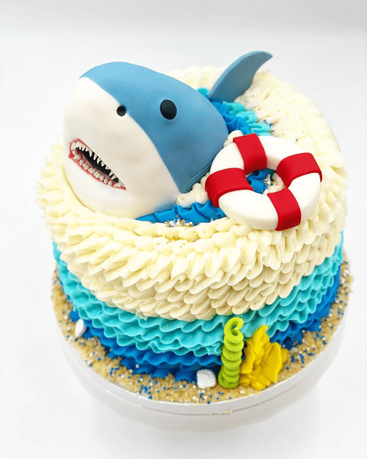 Cute Shark Cake
