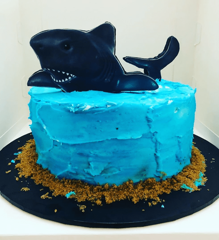 Dazzling Shark Cake