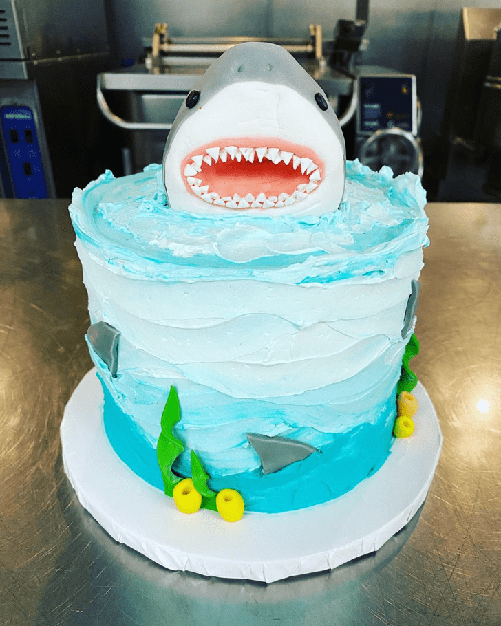 Excellent Shark Cake