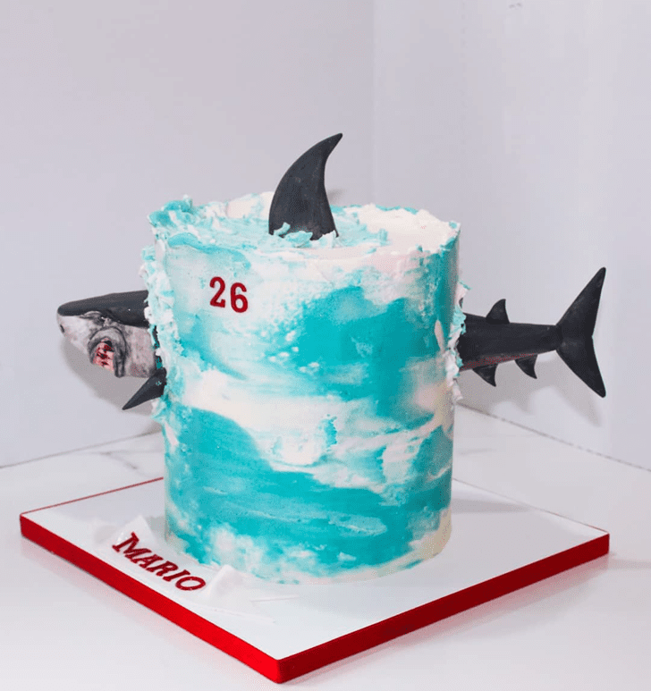 Fascinating Shark Cake