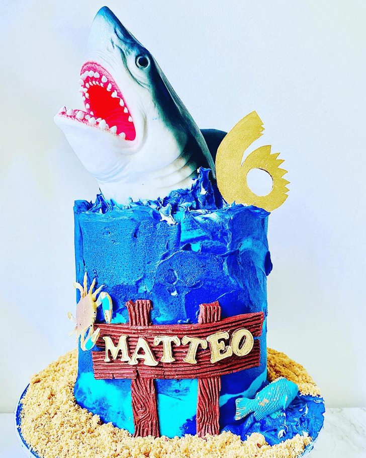 Graceful Shark Cake