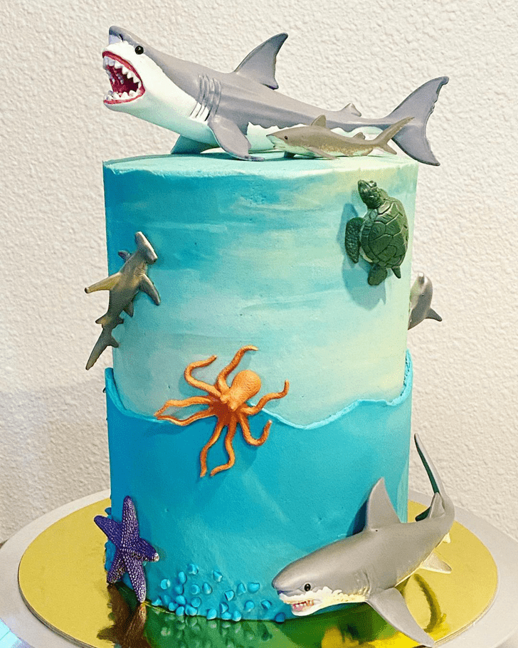 Handsome Shark Cake