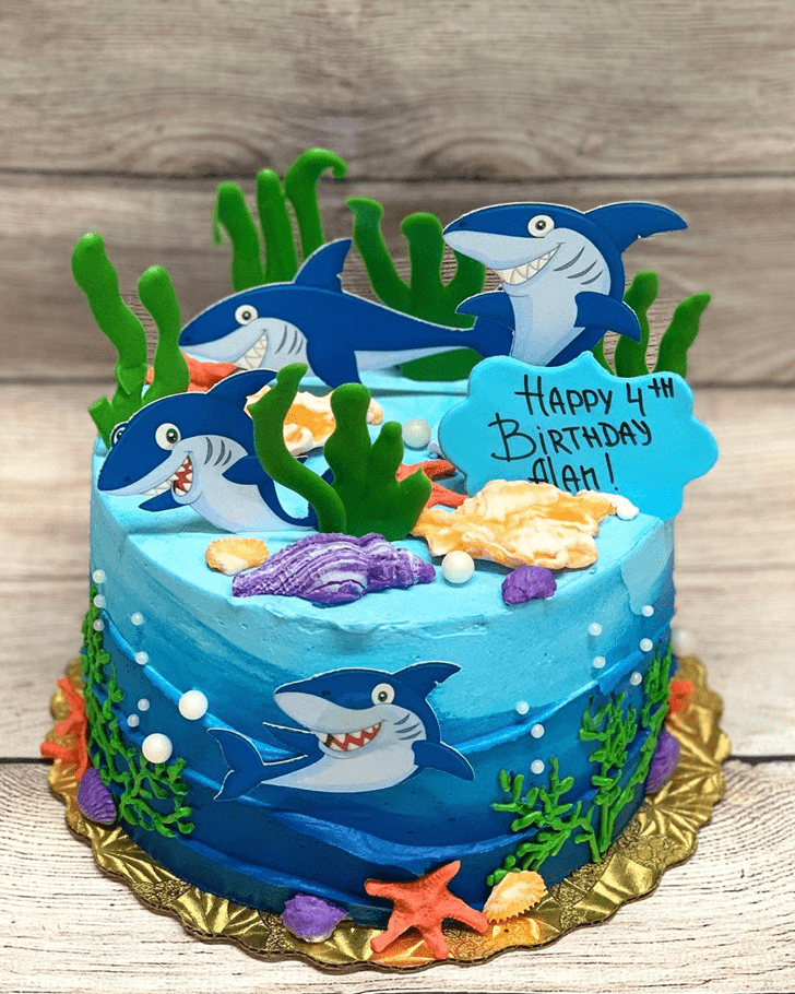 Ideal Shark Cake