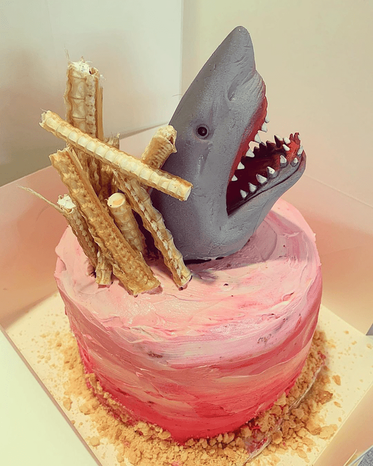 Wonderful Shark Cake Design
