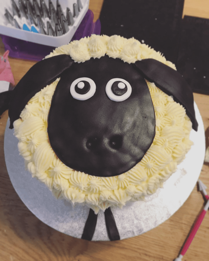 Dazzling Sheep Cake