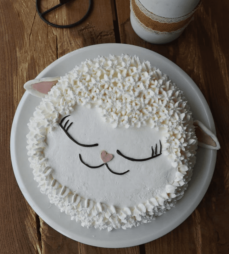 Splendid Sheep Cake