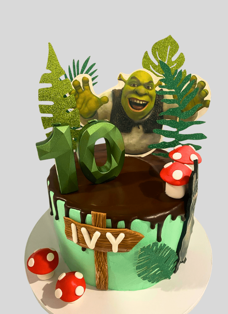Comely Shrek Cake