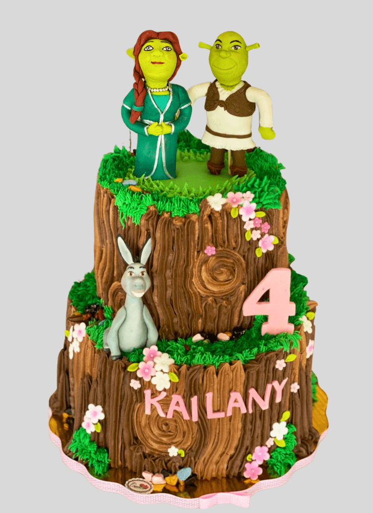 Fair Shrek Cake