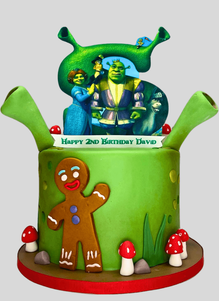 Fetching Shrek Cake