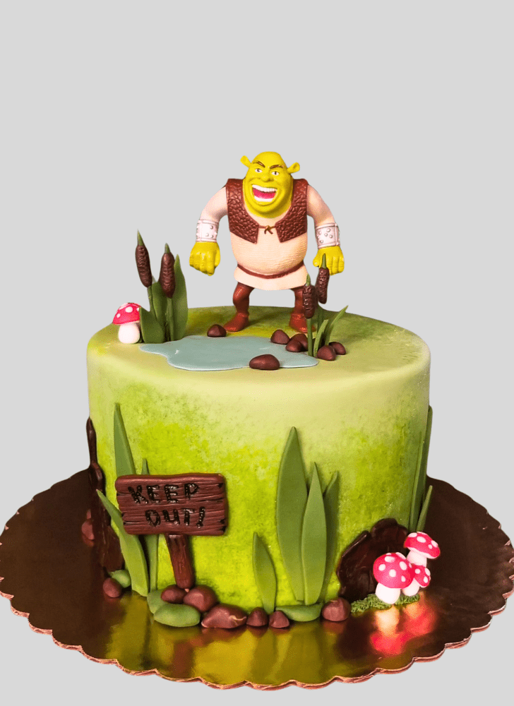 Fine Shrek Cake