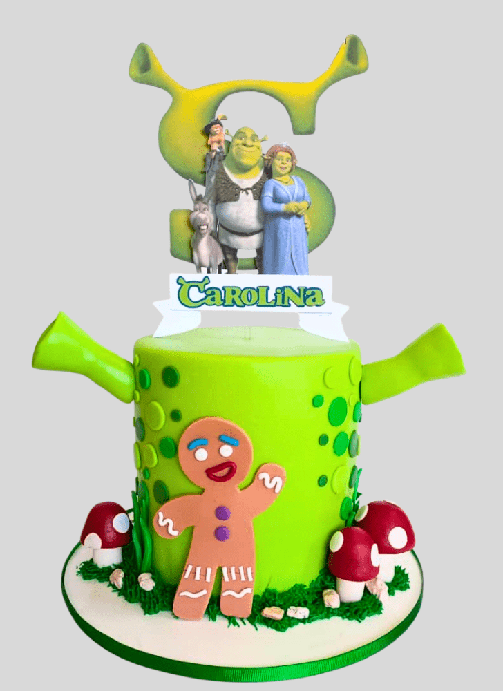 Ideal Shrek Cake