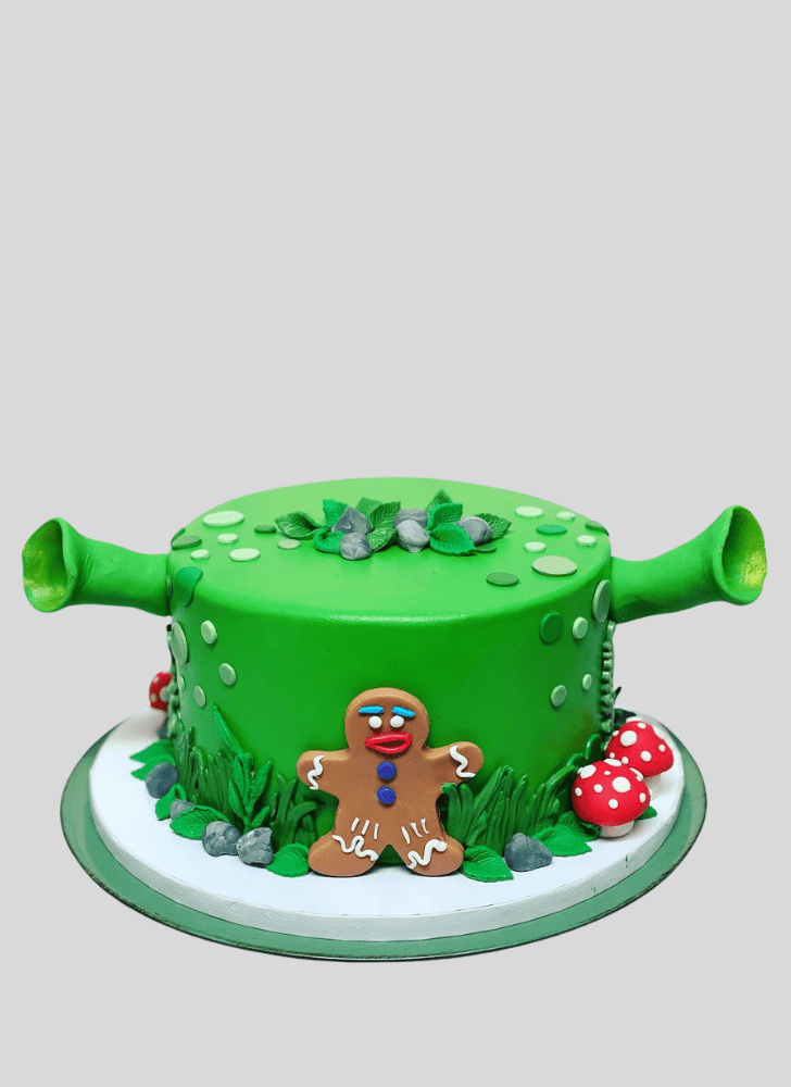 Lovely Shrek Cake Design