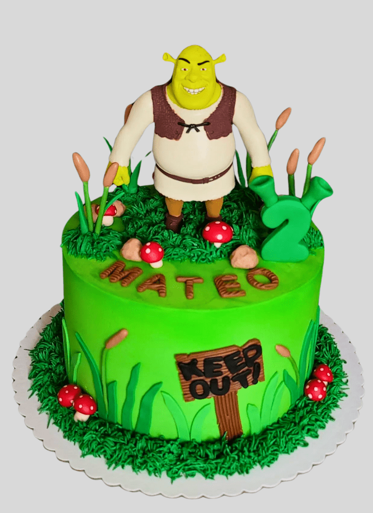 Magnificent Shrek Cake