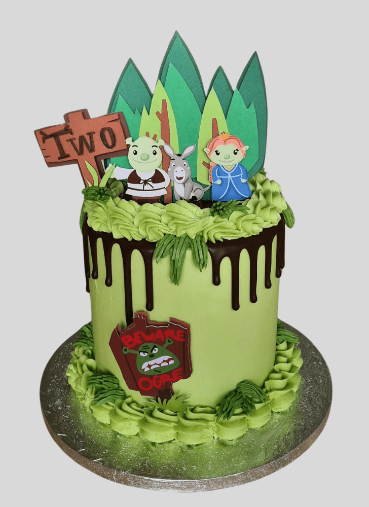 Nice Shrek Cake