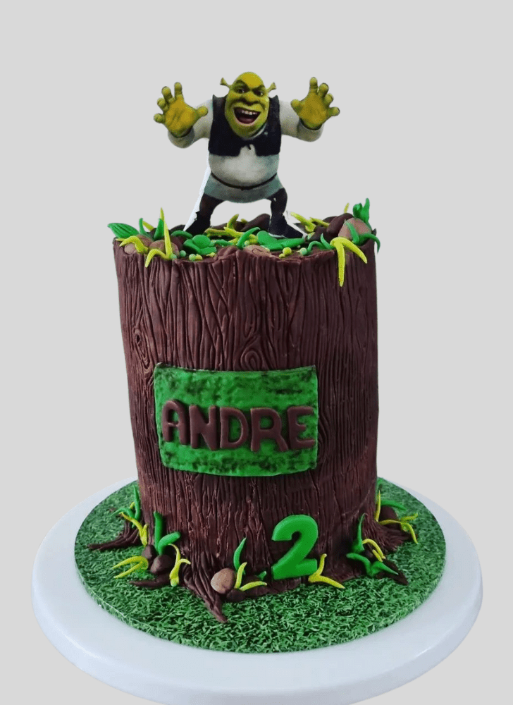 Refined Shrek Cake
