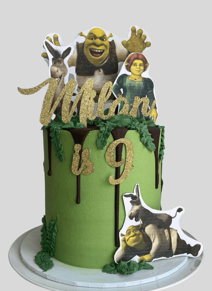 Stunning Shrek Cake