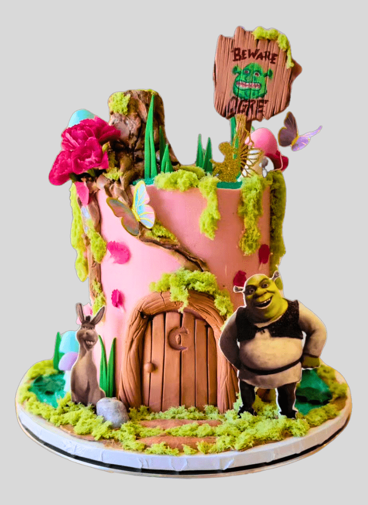Wonderful Shrek Cake Design