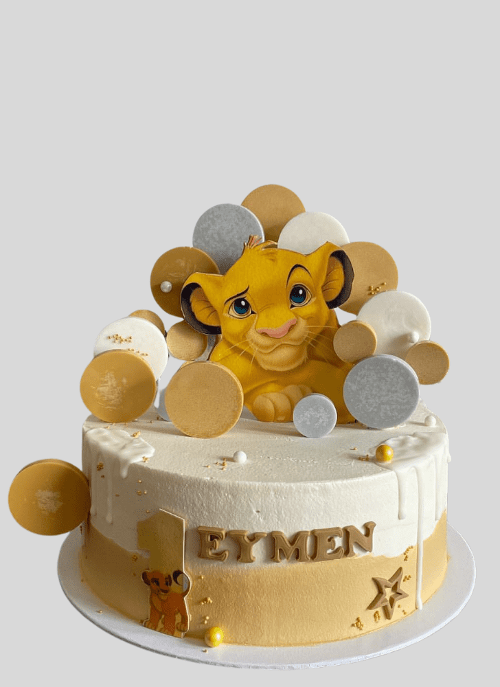 Magnetic Simba Cake