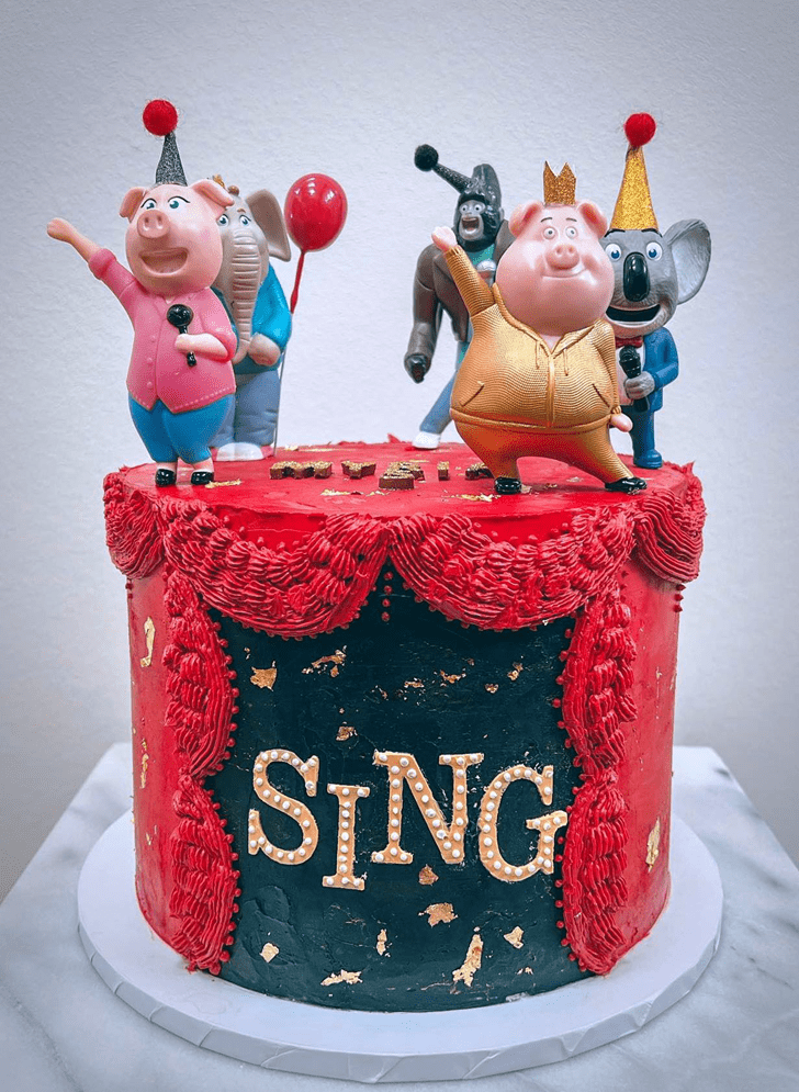 Fine Sing Movie Cake