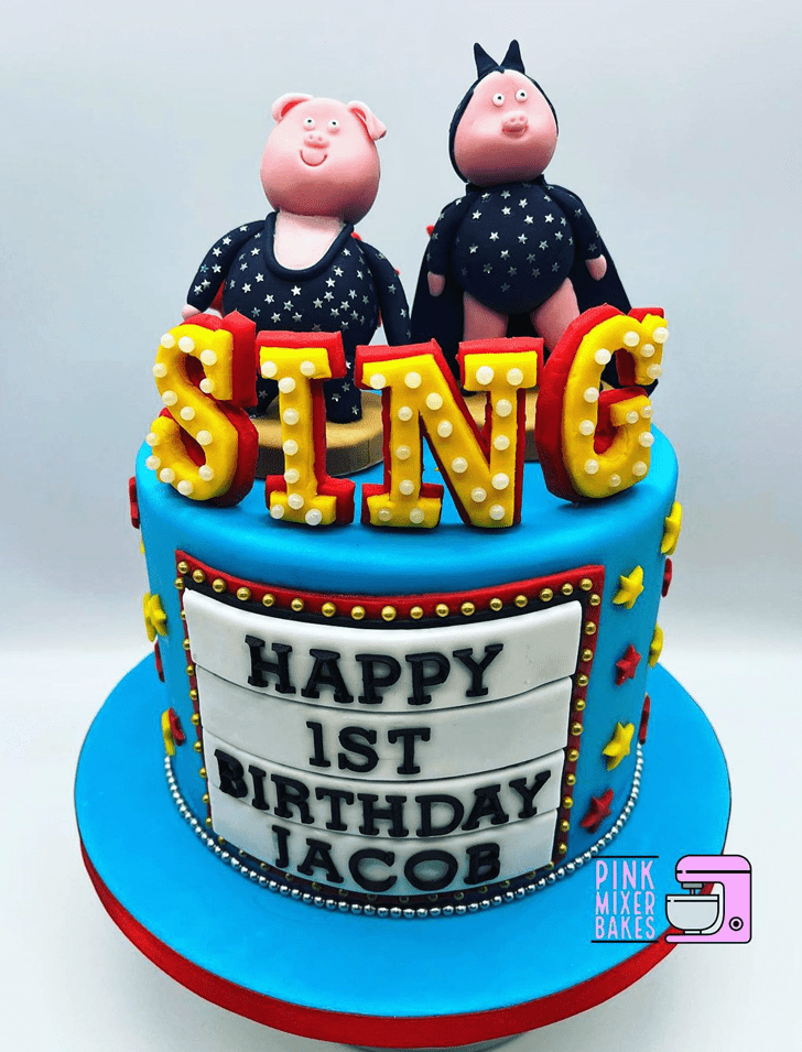 Magnetic Sing Movie Cake