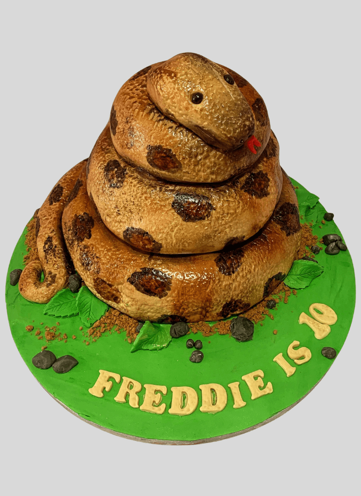 Comely Snake Cake