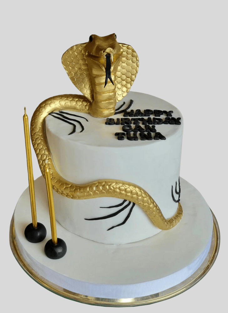 Dazzling Snake Cake