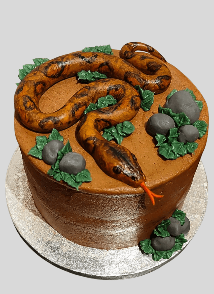 Delicate Snake Cake
