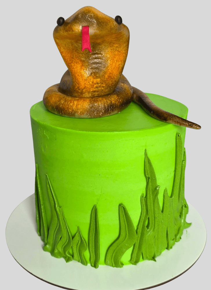 Elegant Snake Cake