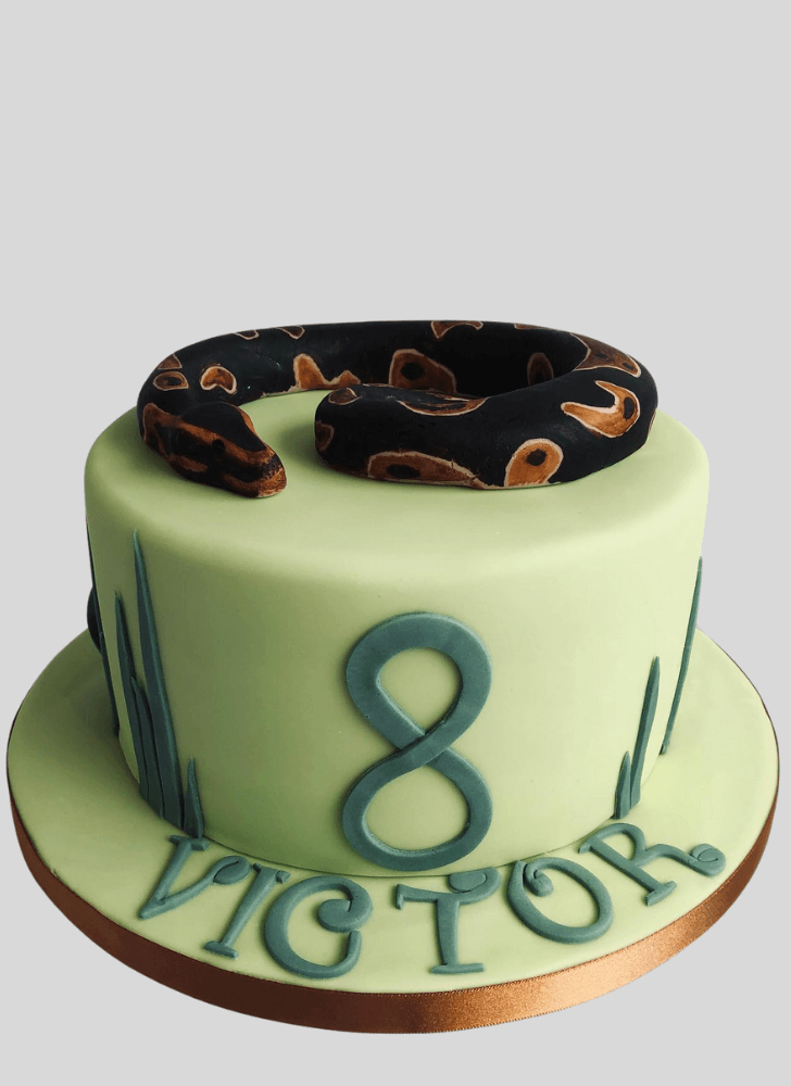 Enticing Snake Cake