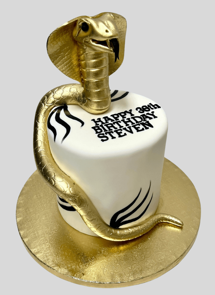 Fair Snake Cake