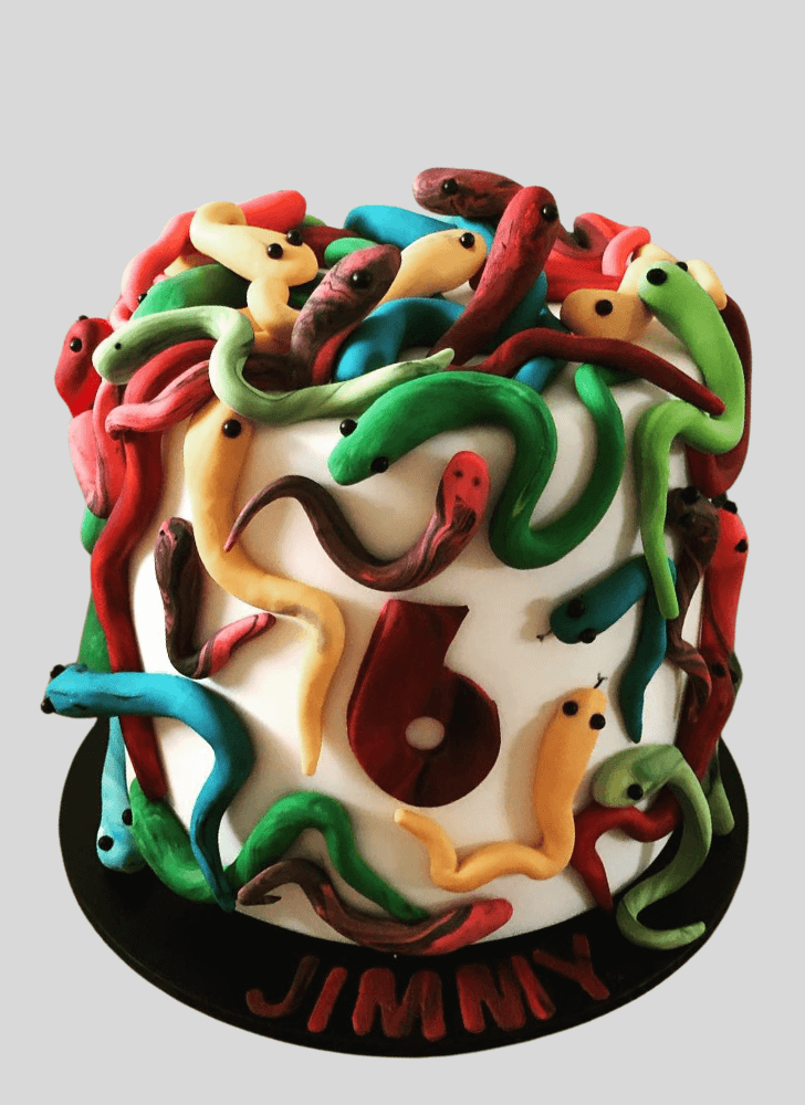 Marvelous Snake Cake