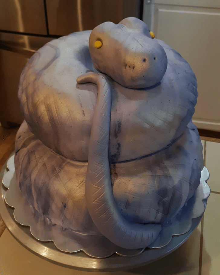 Bewitching Snake Cake