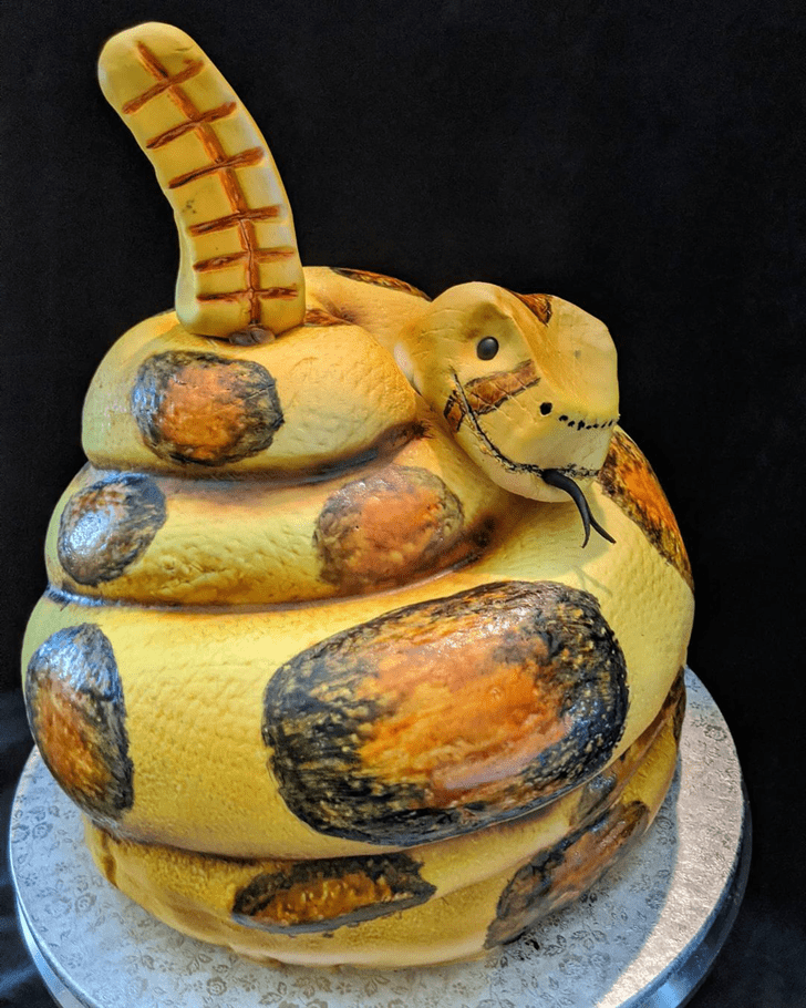 Charming Snake Cake