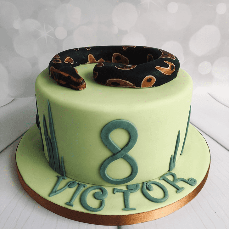 Good Looking Snake Cake