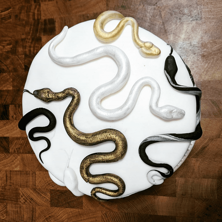Gorgeous Snake Cake