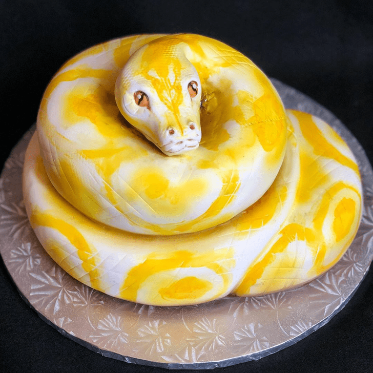 Grand Snake Cake
